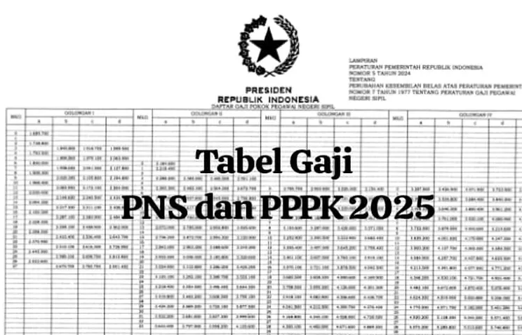 Alhamdulilah, Berapa Besaran Kenaikan Gaji PPPK Berkala 2025? Cek Tabel Gaji Terbaru!